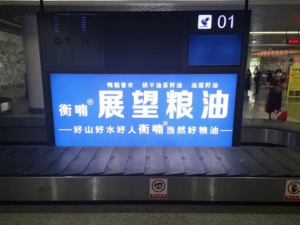 農(nóng)副產(chǎn)品加工,糧食收購,油料的種植,湖南省展望生物科技發(fā)展有限公司 農(nóng)副產(chǎn)品加工,糧食收購,油料的種植,湖南省展望生物科技發(fā)展有限公司